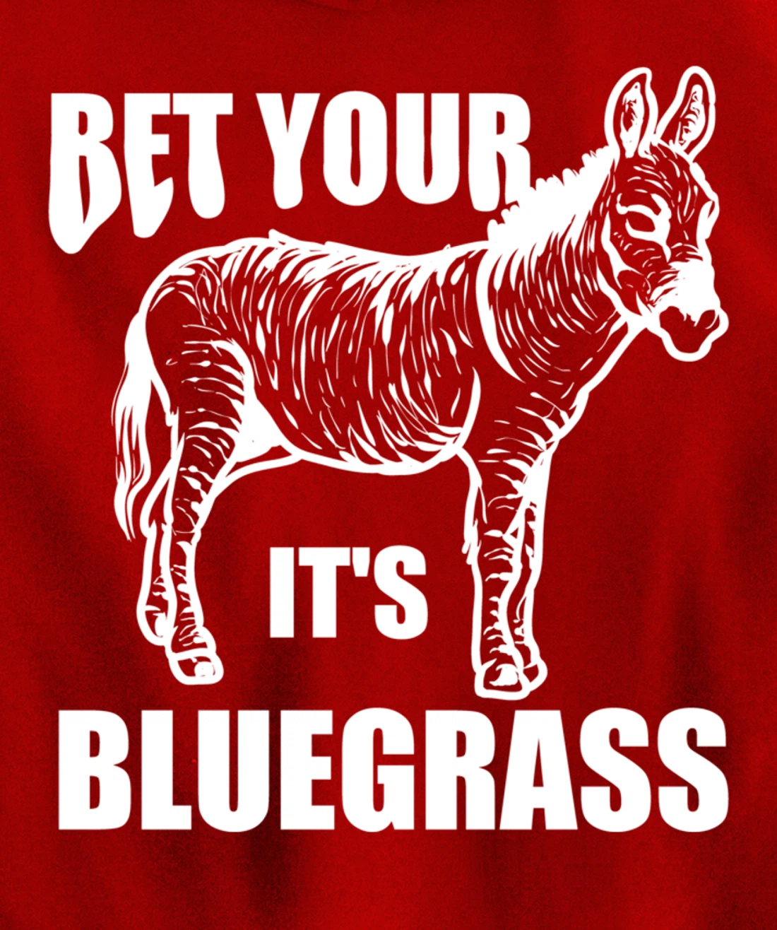 Cool Bet Your Donkey Ass It's Bluegrass Funny Musician Gift Pullover Hoodie