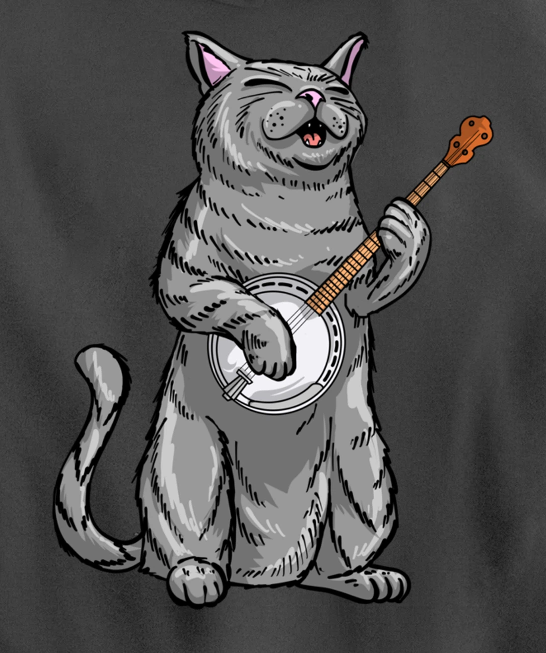 Funny Cat Playing Banjo Bluegrass | Cool Musician Gift Pullover Hoodie
