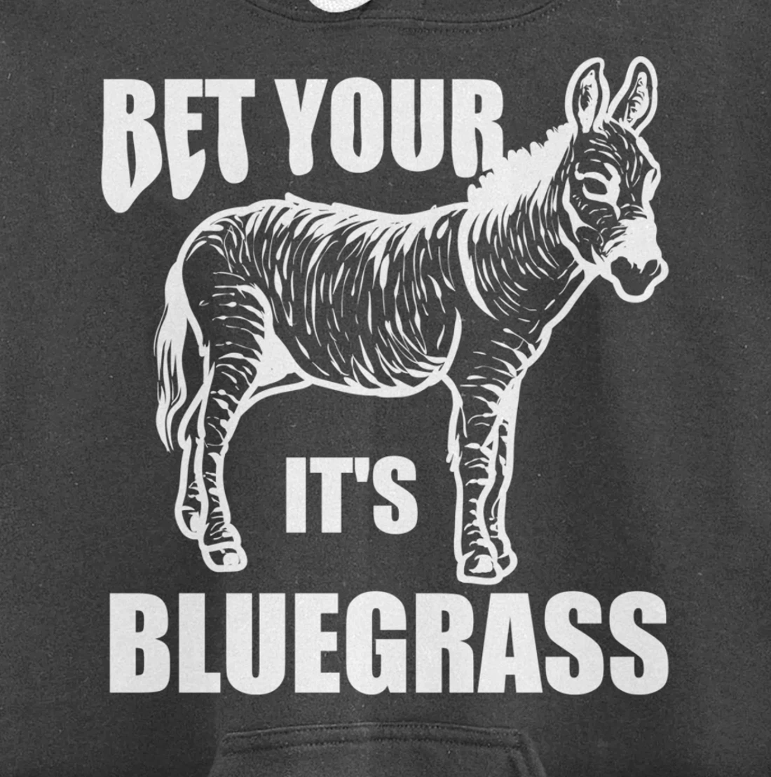 Cool Bet Your Donkey Ass It's Bluegrass Funny Musician Gift Pullover Hoodie