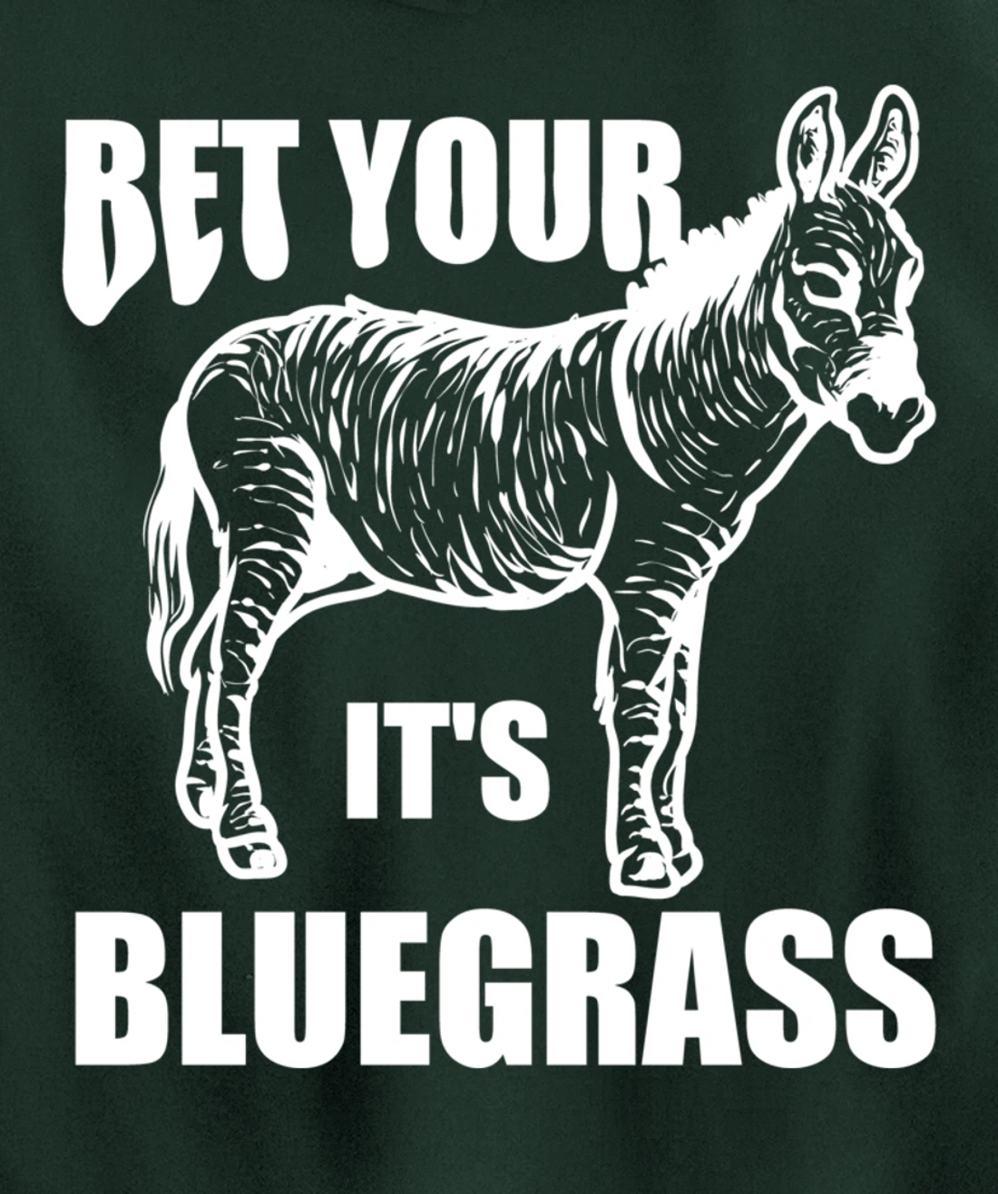 Cool Bet Your Donkey Ass It's Bluegrass Funny Musician Gift Pullover Hoodie