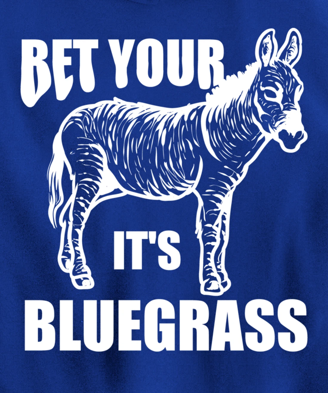 Cool Bet Your Donkey Ass It's Bluegrass Funny Musician Gift Pullover Hoodie