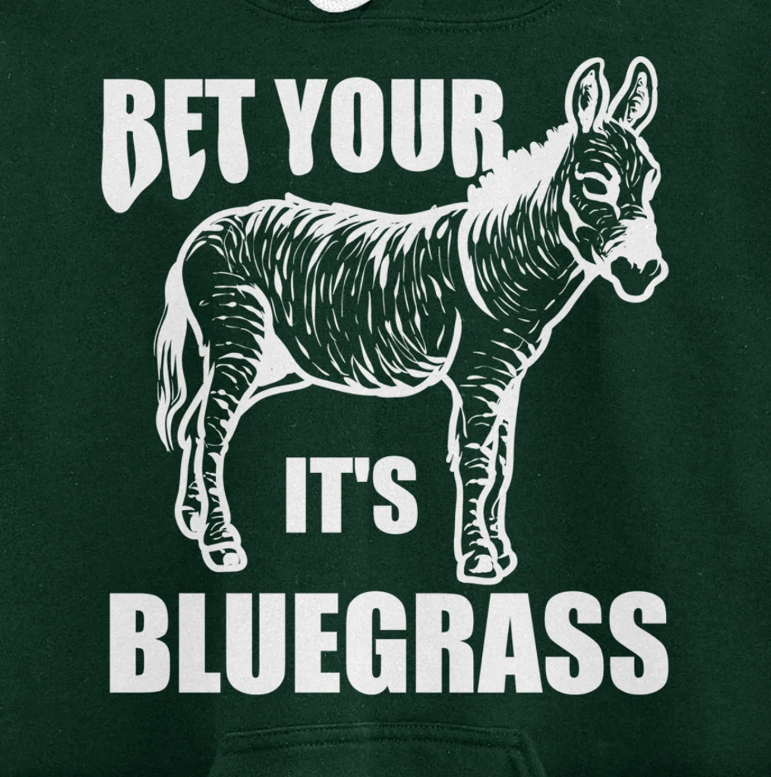Cool Bet Your Donkey Ass It's Bluegrass Funny Musician Gift Pullover Hoodie