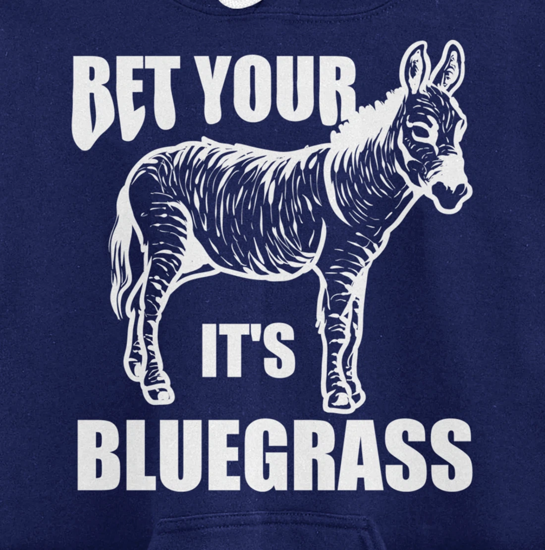 Cool Bet Your Donkey Ass It's Bluegrass Funny Musician Gift Pullover Hoodie