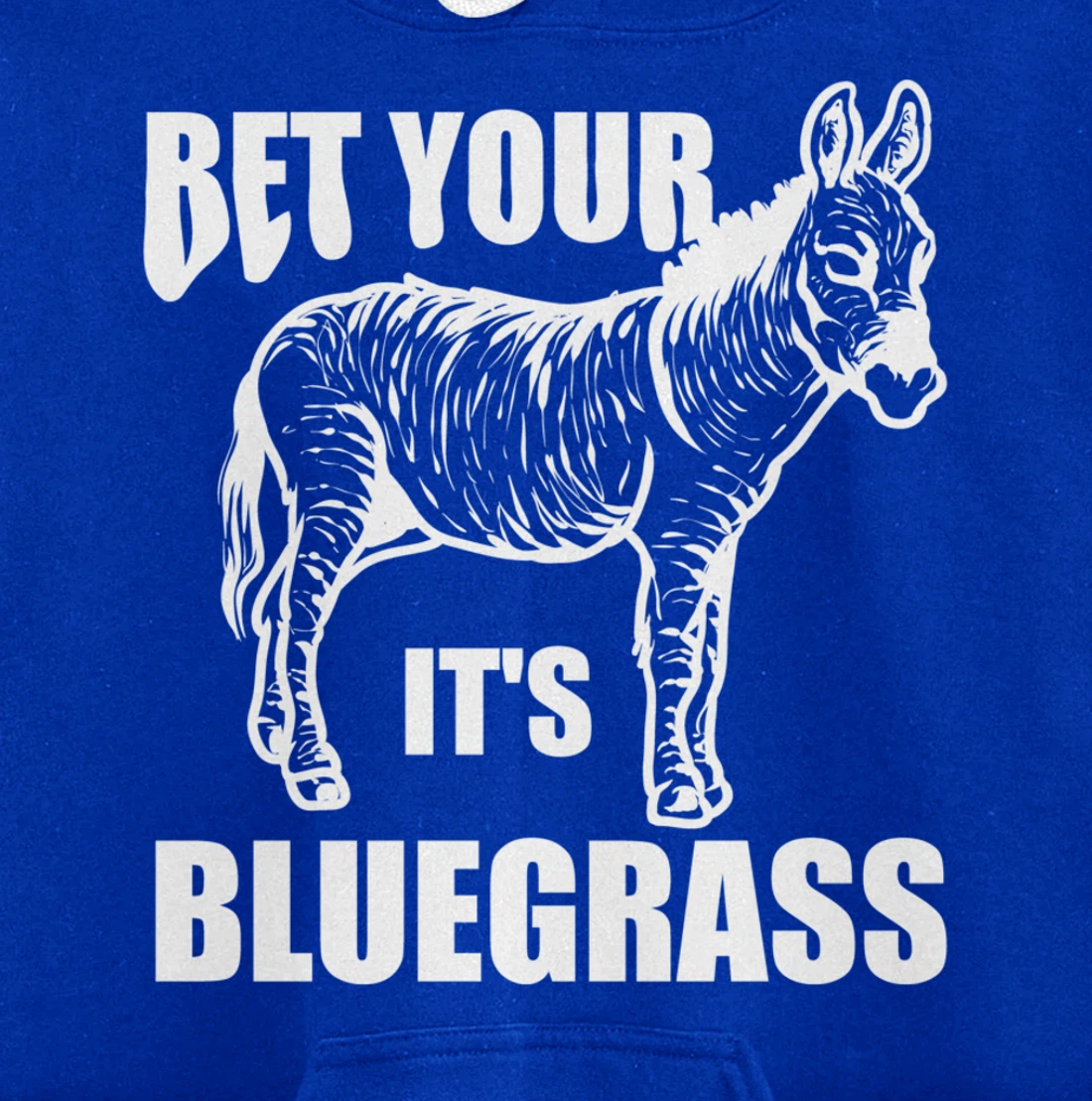 Cool Bet Your Donkey Ass It's Bluegrass Funny Musician Gift Pullover Hoodie