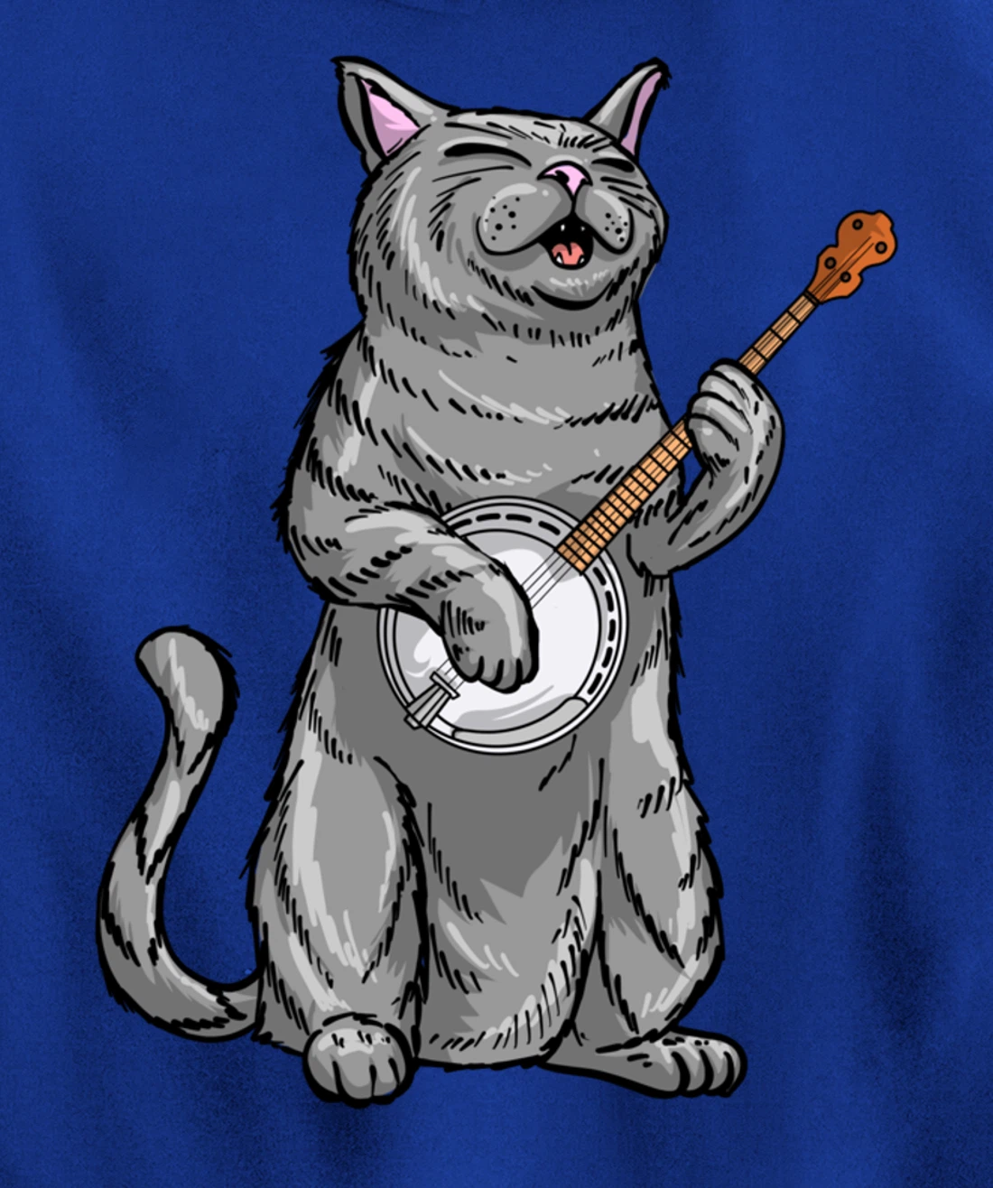 Funny Cat Playing Banjo Bluegrass | Cool Musician Gift Pullover Hoodie