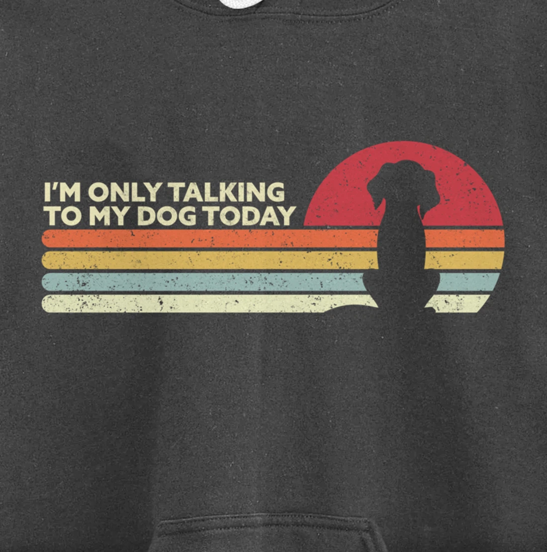 Funny Dog Design. I'm Only Talking To My Dog Today, Retro Pullover Hoodie