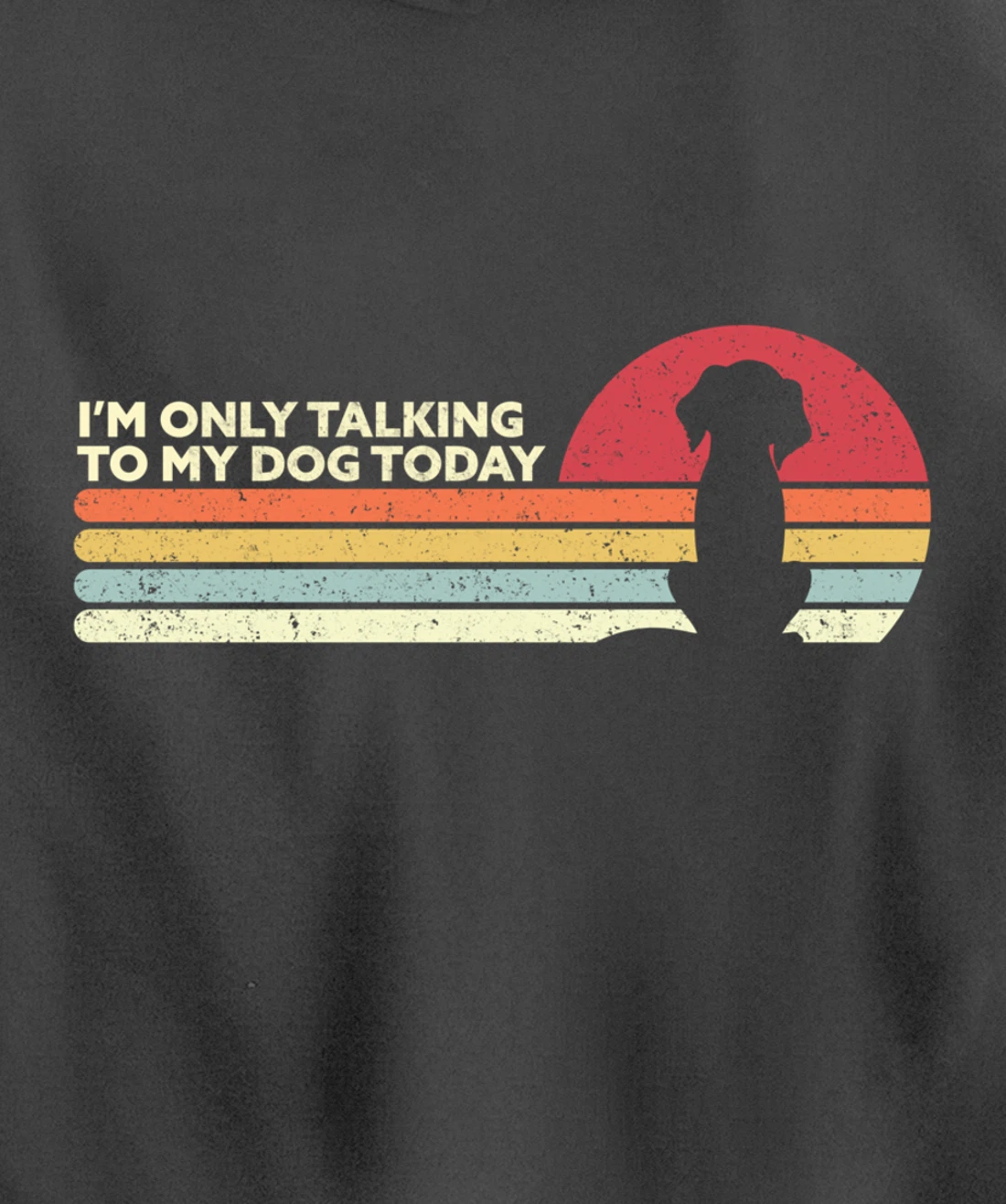 Funny Dog Design. I'm Only Talking To My Dog Today, Retro Pullover Hoodie
