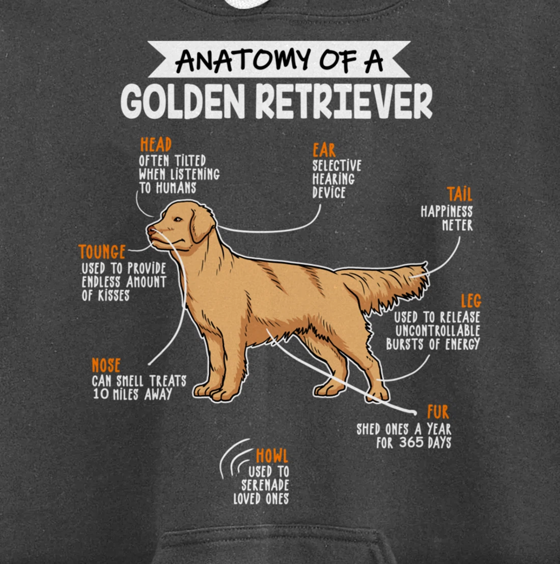 Anatomy Of A Golden Retriever Dog Funny Dog Lover Gift Pullover Hoodie