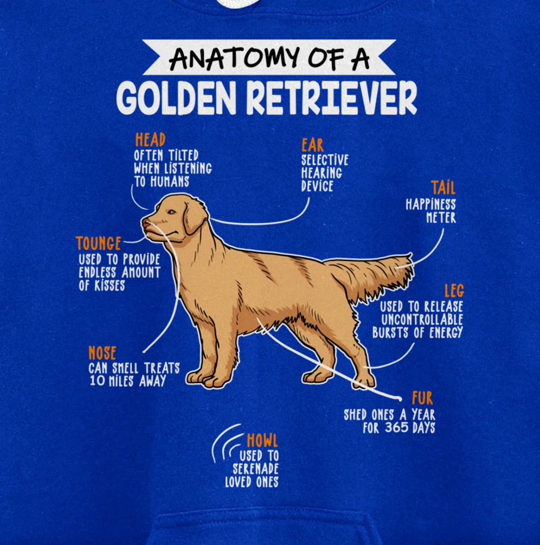 Anatomy Of A Golden Retriever Dog Funny Dog Lover Gift Pullover Hoodie