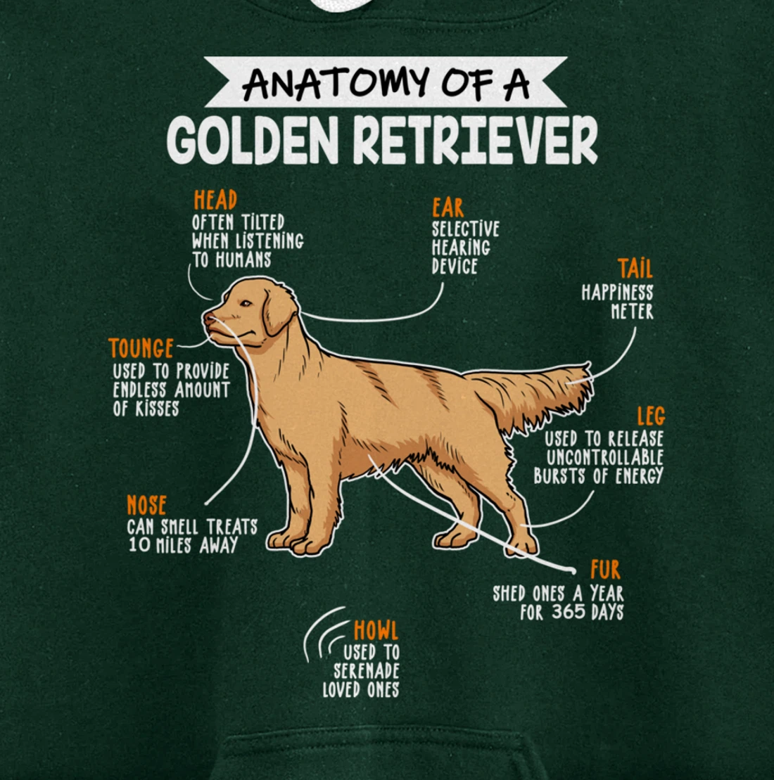 Anatomy Of A Golden Retriever Dog Funny Dog Lover Gift Pullover Hoodie