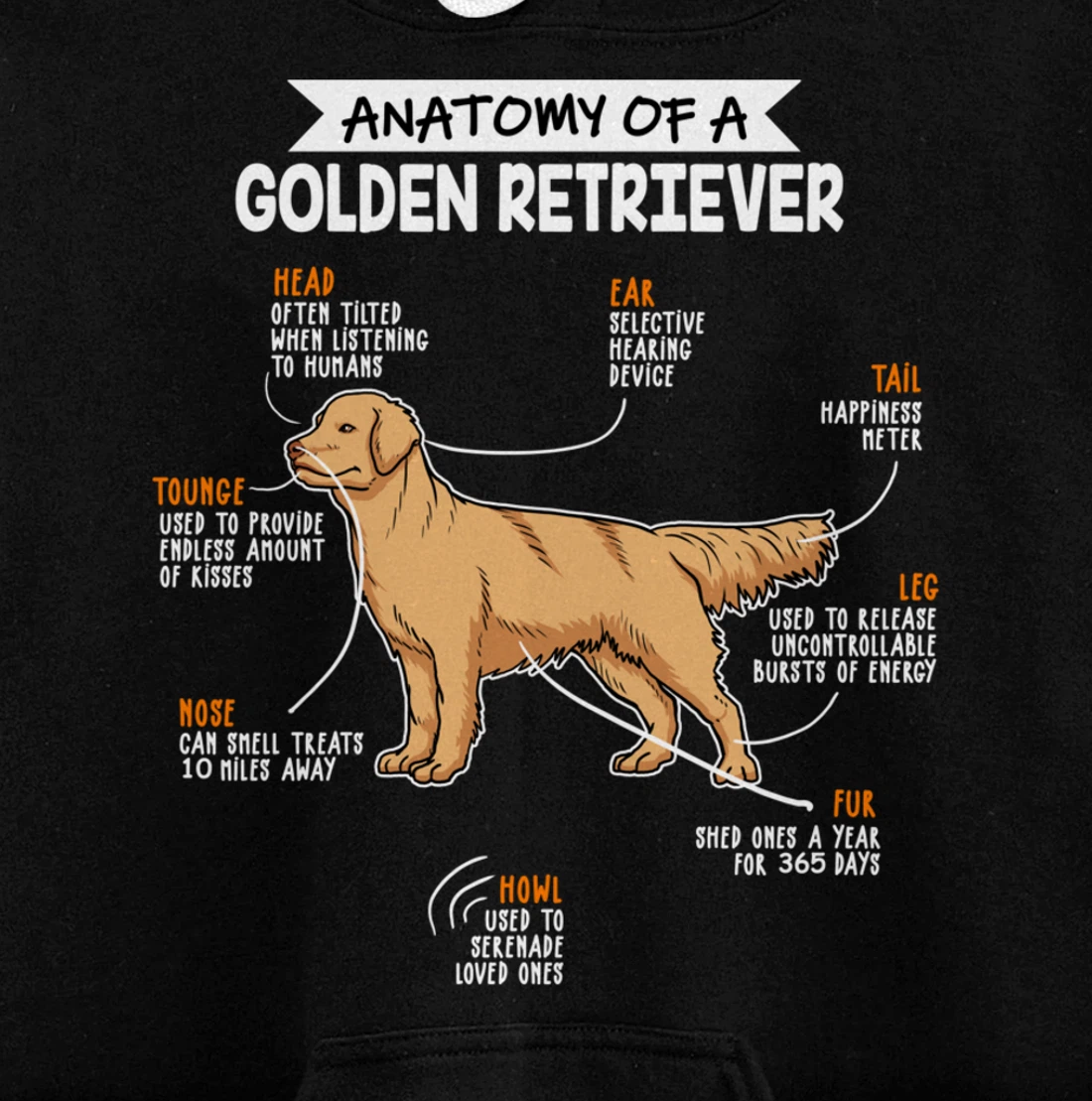 Anatomy Of A Golden Retriever Dog Funny Dog Lover Gift Pullover Hoodie