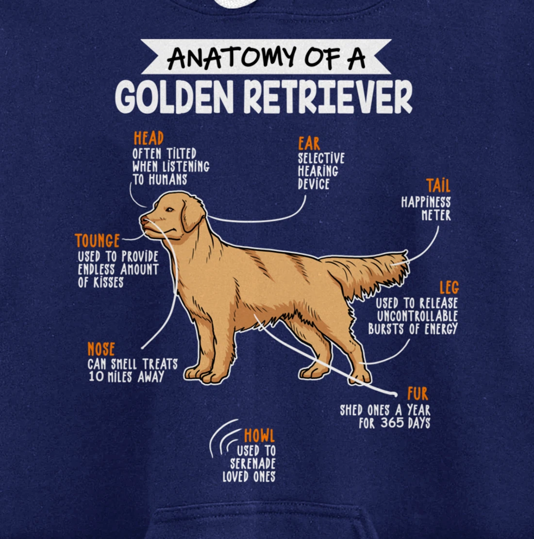 Anatomy Of A Golden Retriever Dog Funny Dog Lover Gift Pullover Hoodie