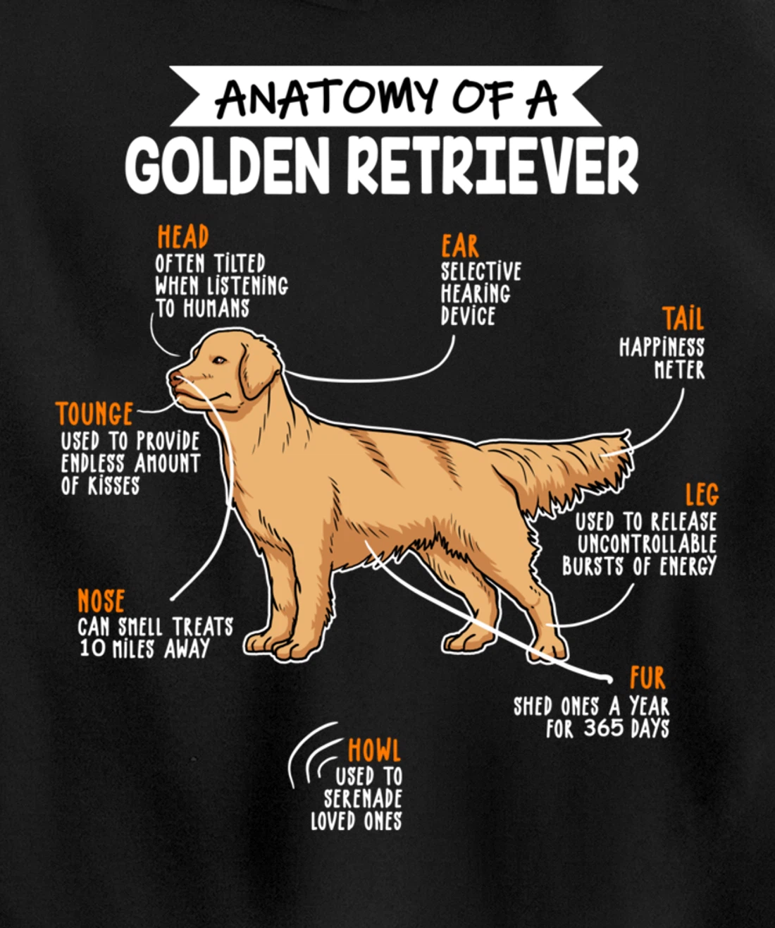 Anatomy Of A Golden Retriever Dog Funny Dog Lover Gift Pullover Hoodie