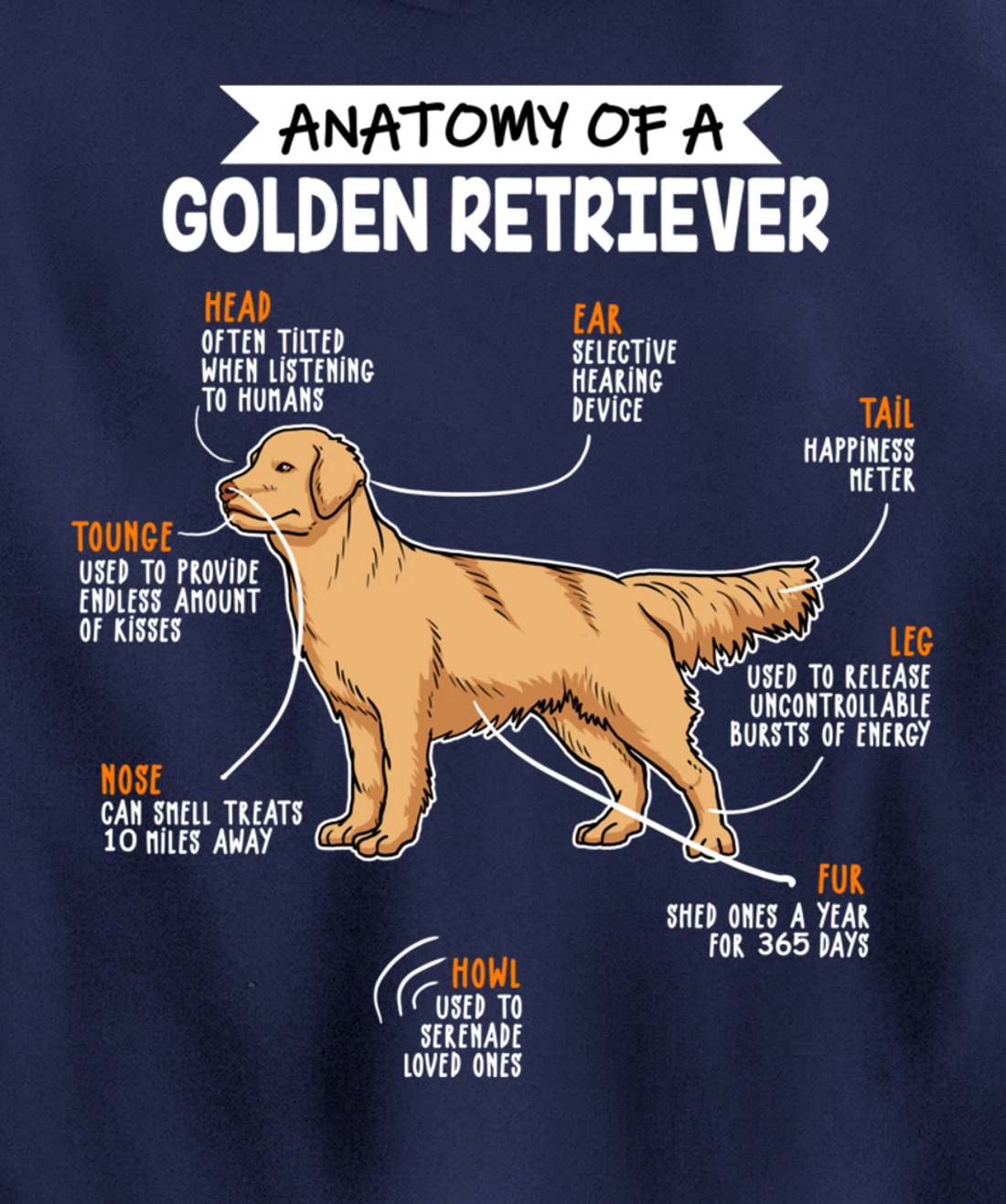 Anatomy Of A Golden Retriever Dog Funny Dog Lover Gift Pullover Hoodie