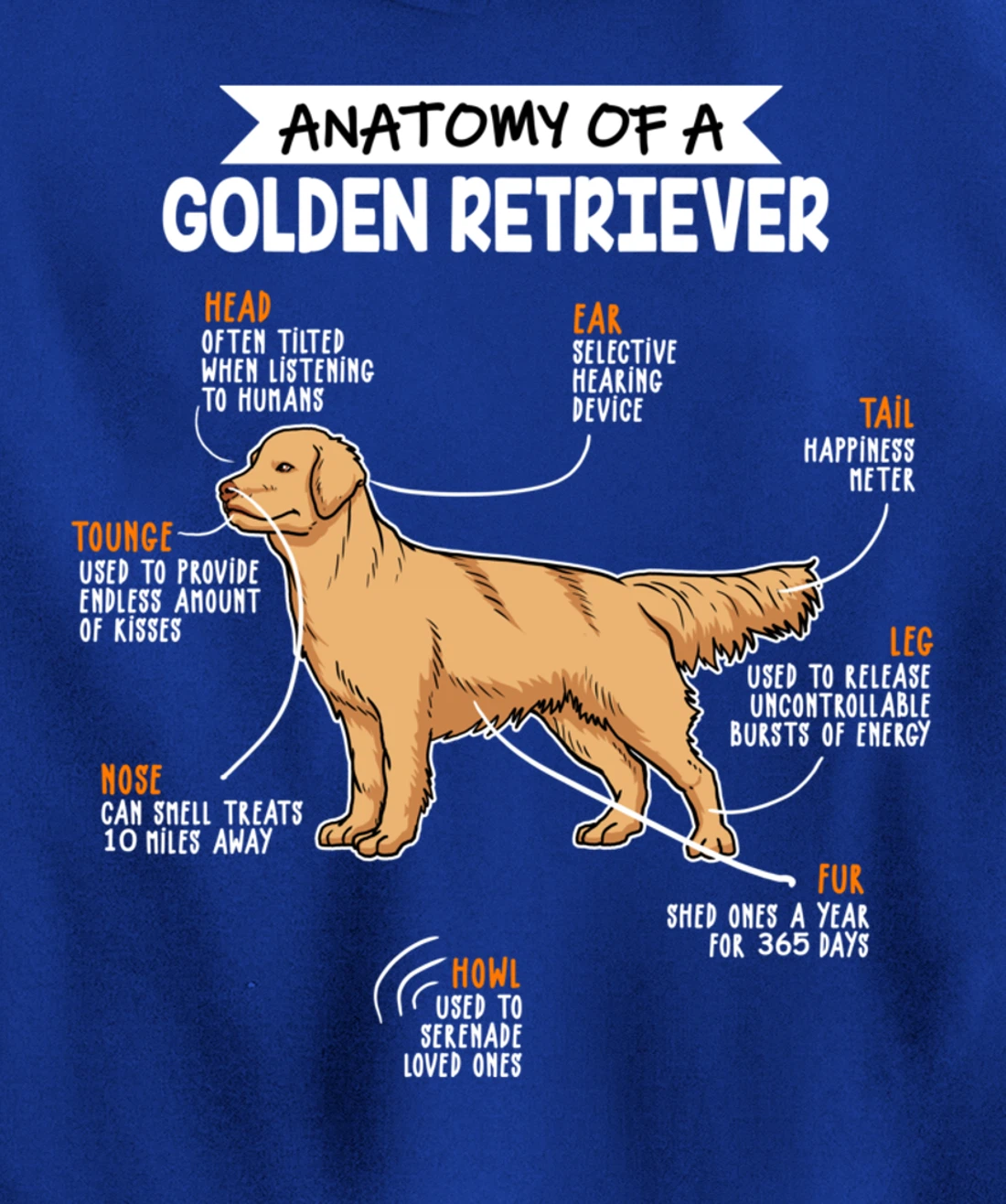 Anatomy Of A Golden Retriever Dog Funny Dog Lover Gift Pullover Hoodie