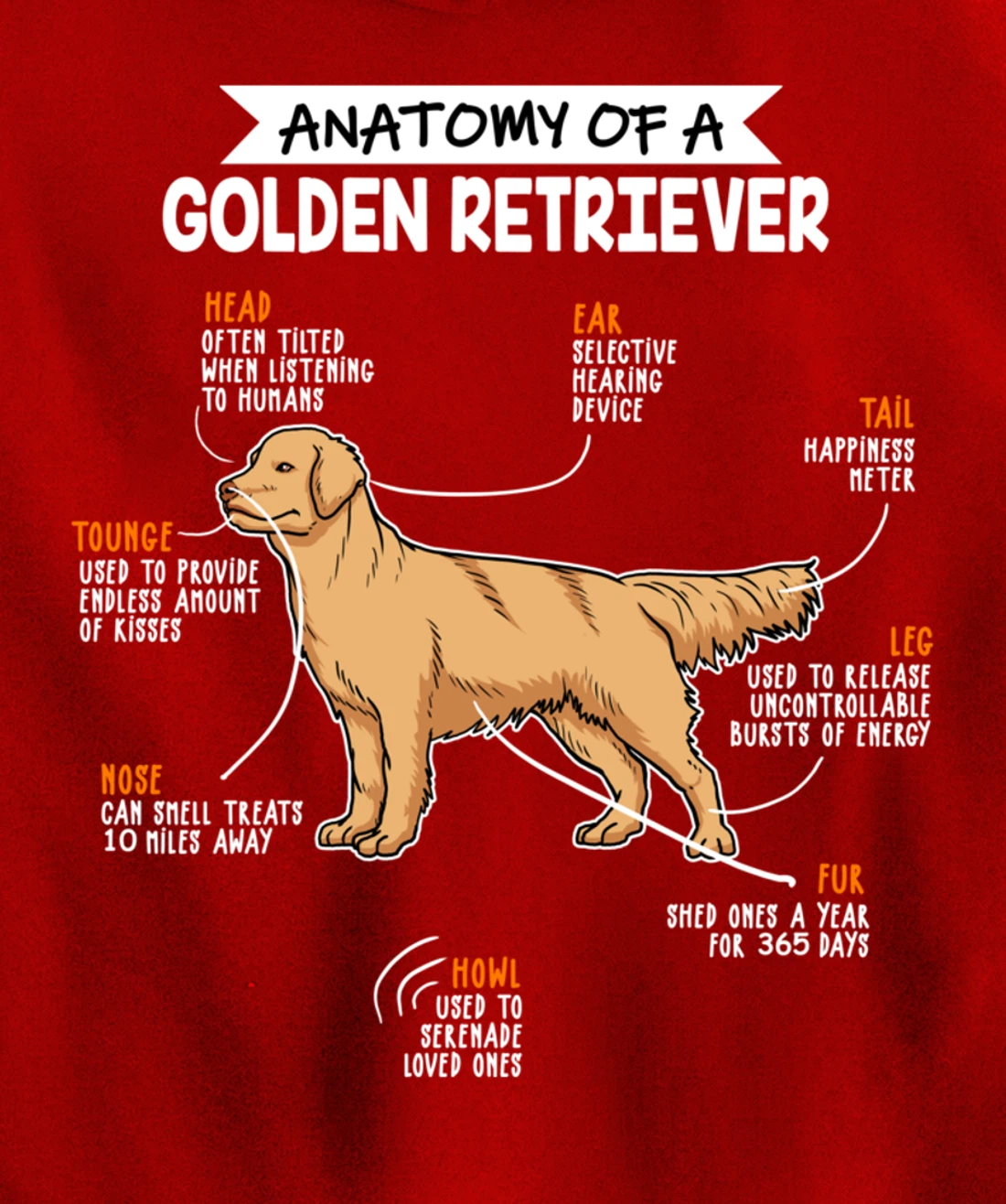 Anatomy Of A Golden Retriever Dog Funny Dog Lover Gift Pullover Hoodie