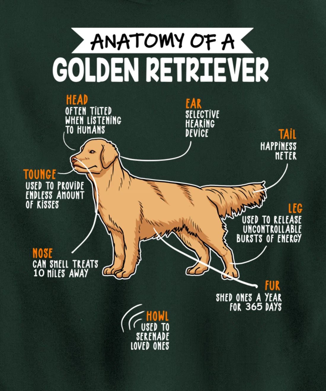 Anatomy Of A Golden Retriever Dog Funny Dog Lover Gift Pullover Hoodie