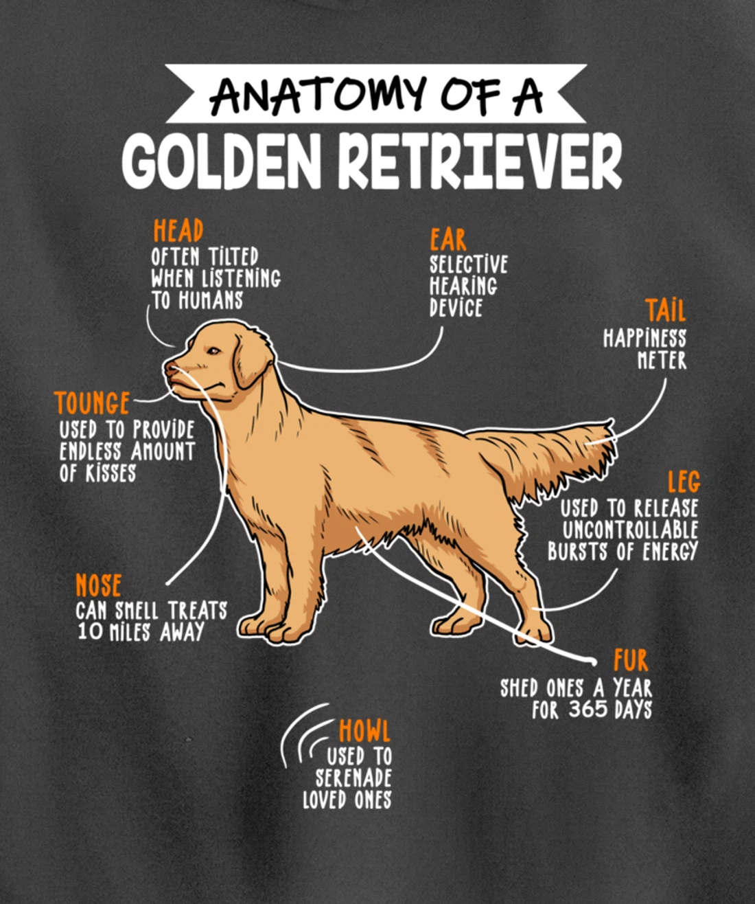 Anatomy Of A Golden Retriever Dog Funny Dog Lover Gift Pullover Hoodie