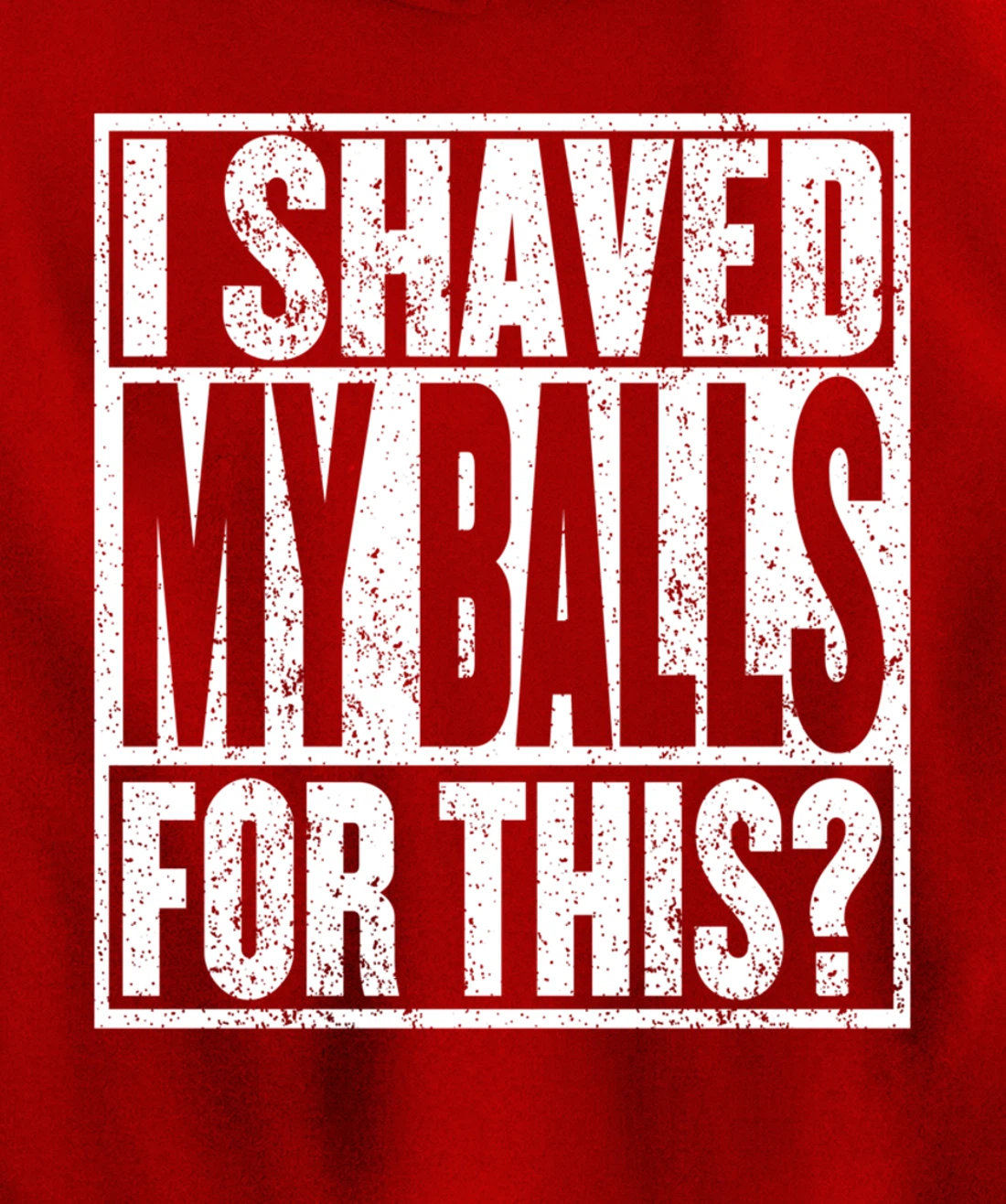 I Shaved My Balls For This Hoodie Funny Mens Adult Humor Pullover Hoodie