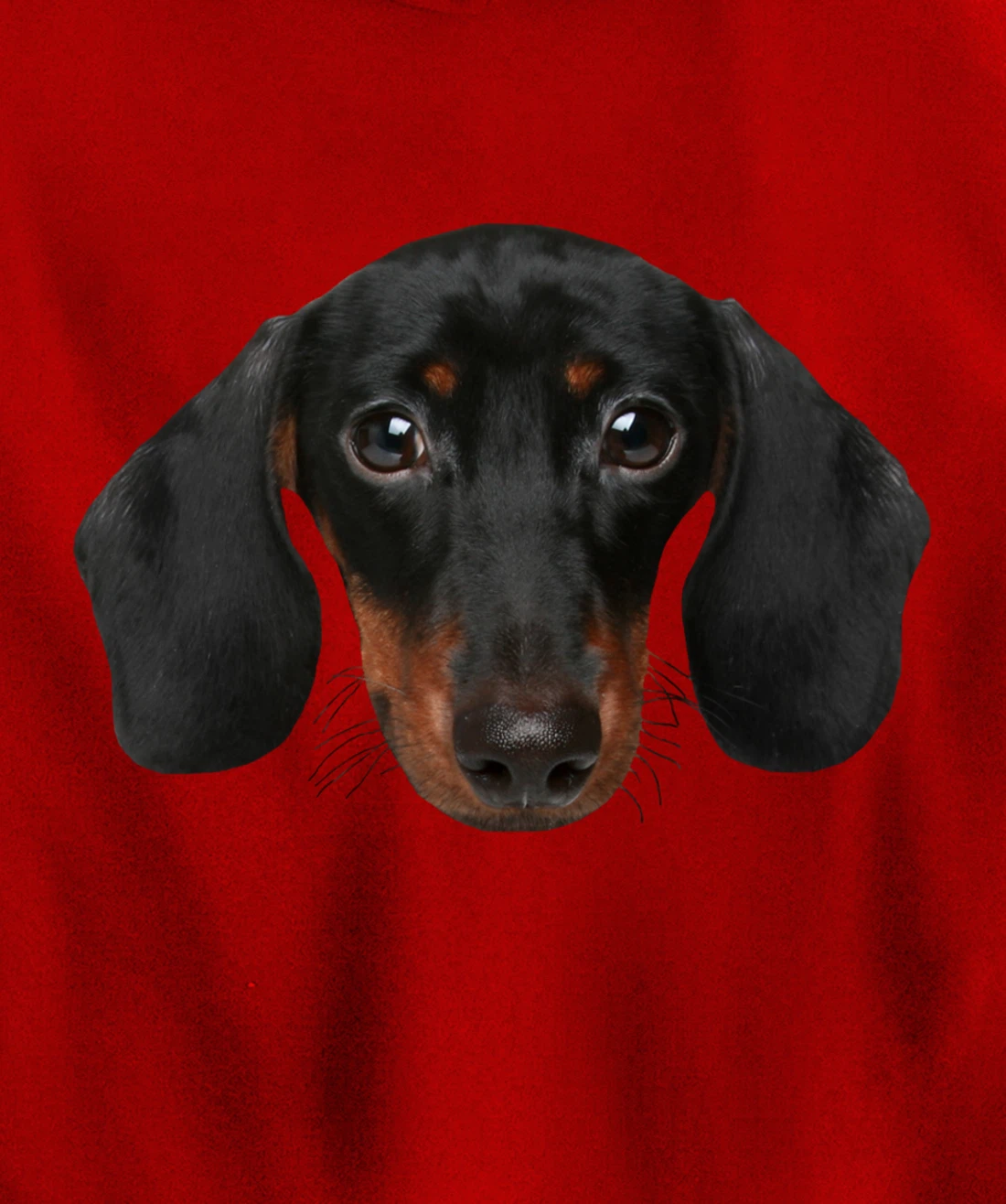 Novelty Dachshund / Wiener Dog Face Hoodie for Doxie Lovers Pullover Hoodie