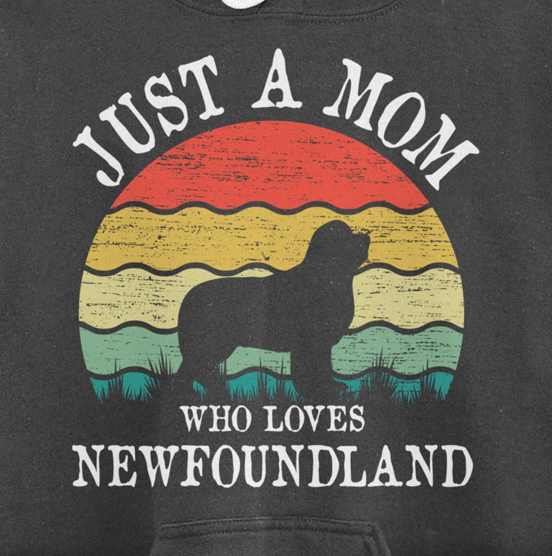 Just A Mom Who Loves Newfoundland Dog Lover Mom Pullover Hoodie