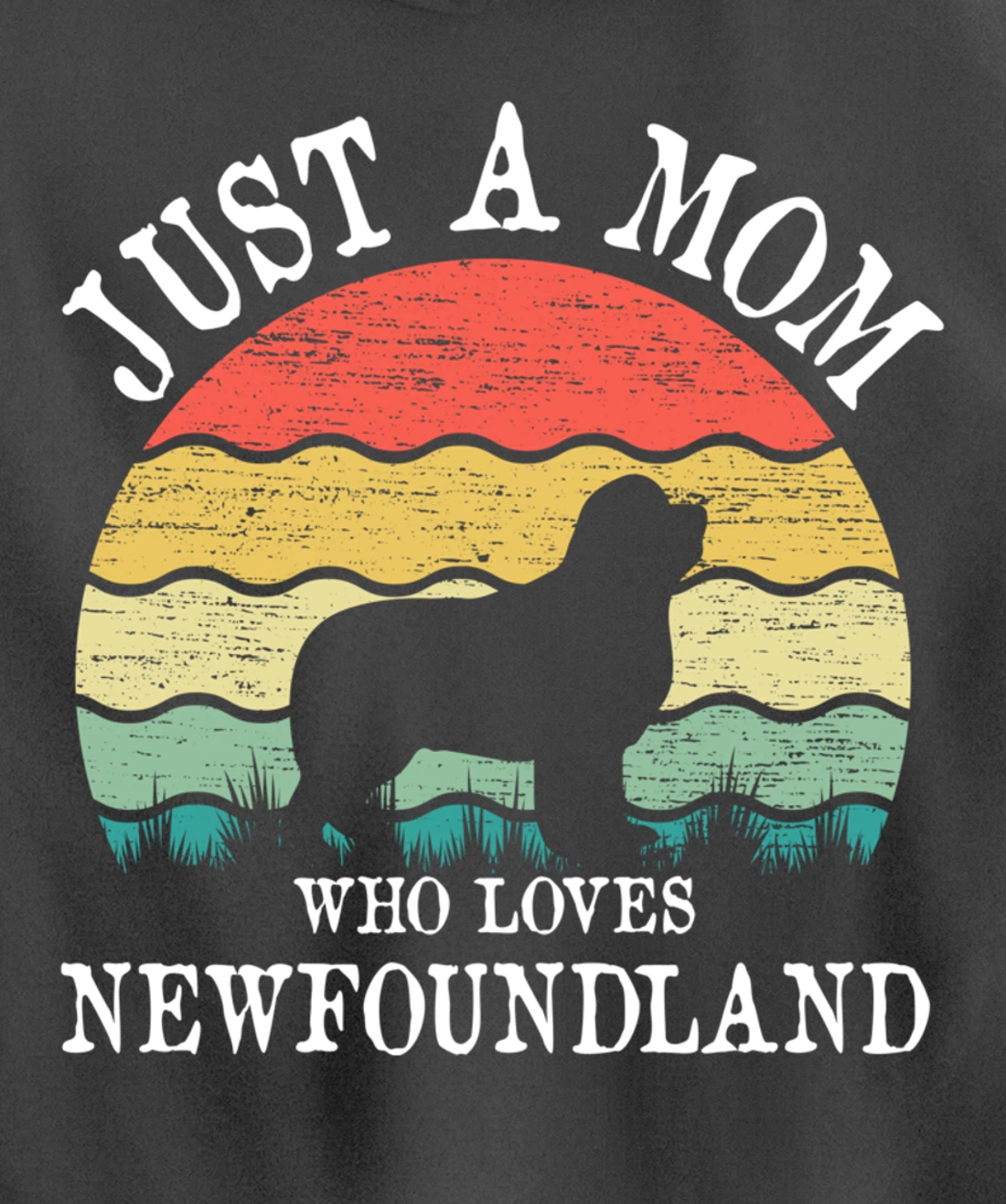 Just A Mom Who Loves Newfoundland Dog Lover Mom Pullover Hoodie