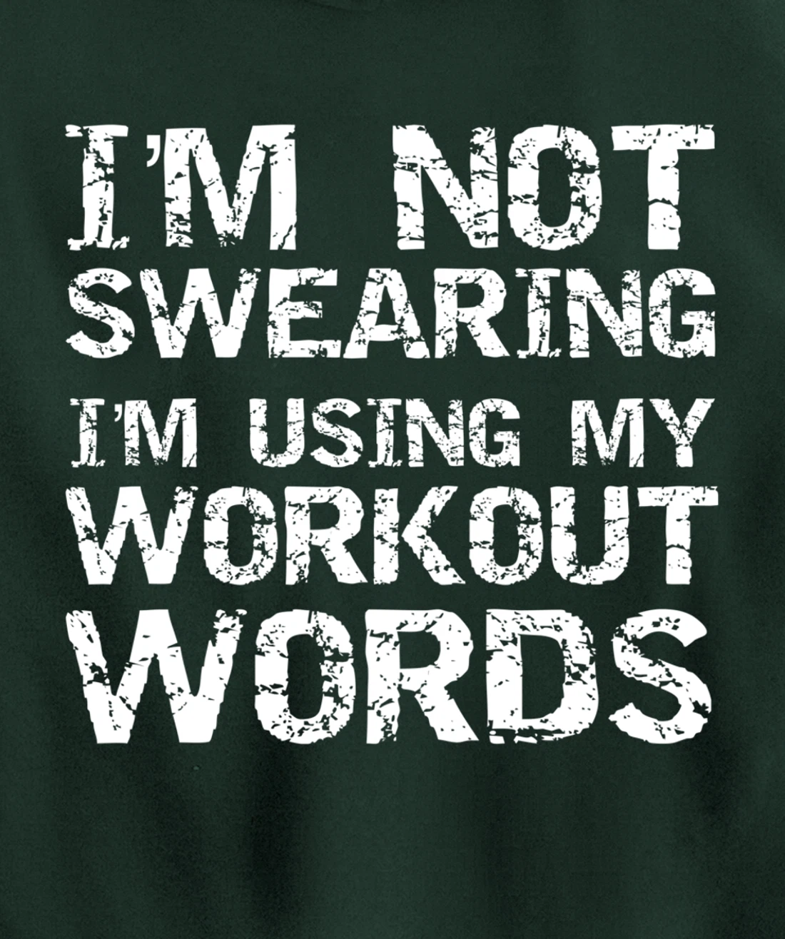 Funny Saying I'm Not Swearing I'm Using My Workout Words Pullover Hoodie