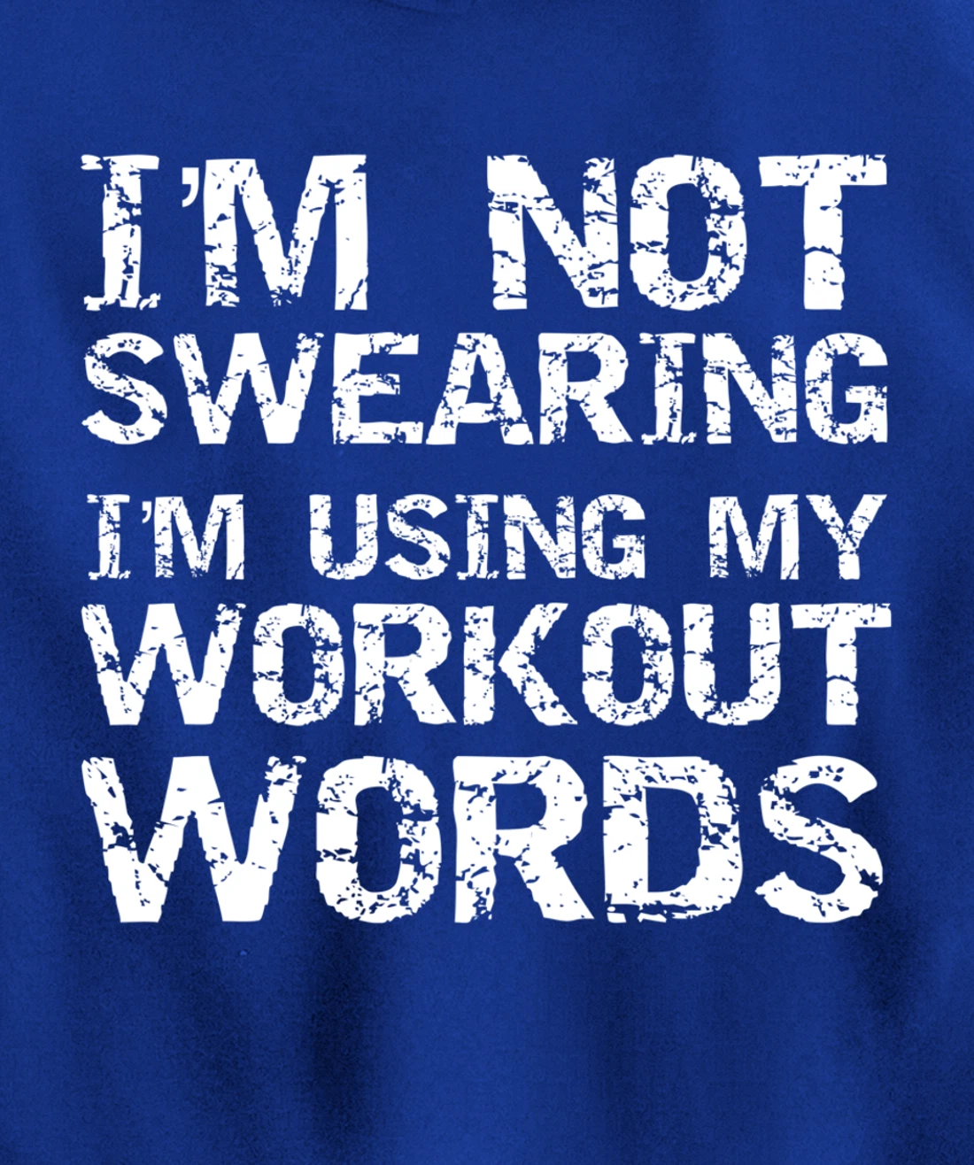 Funny Saying I'm Not Swearing I'm Using My Workout Words Pullover Hoodie