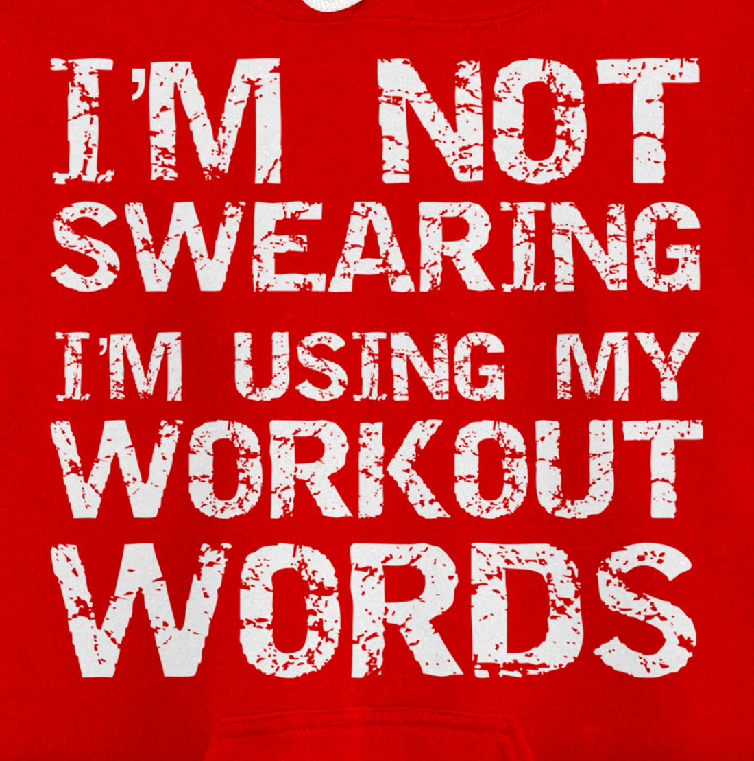 Funny Saying I'm Not Swearing I'm Using My Workout Words Pullover Hoodie