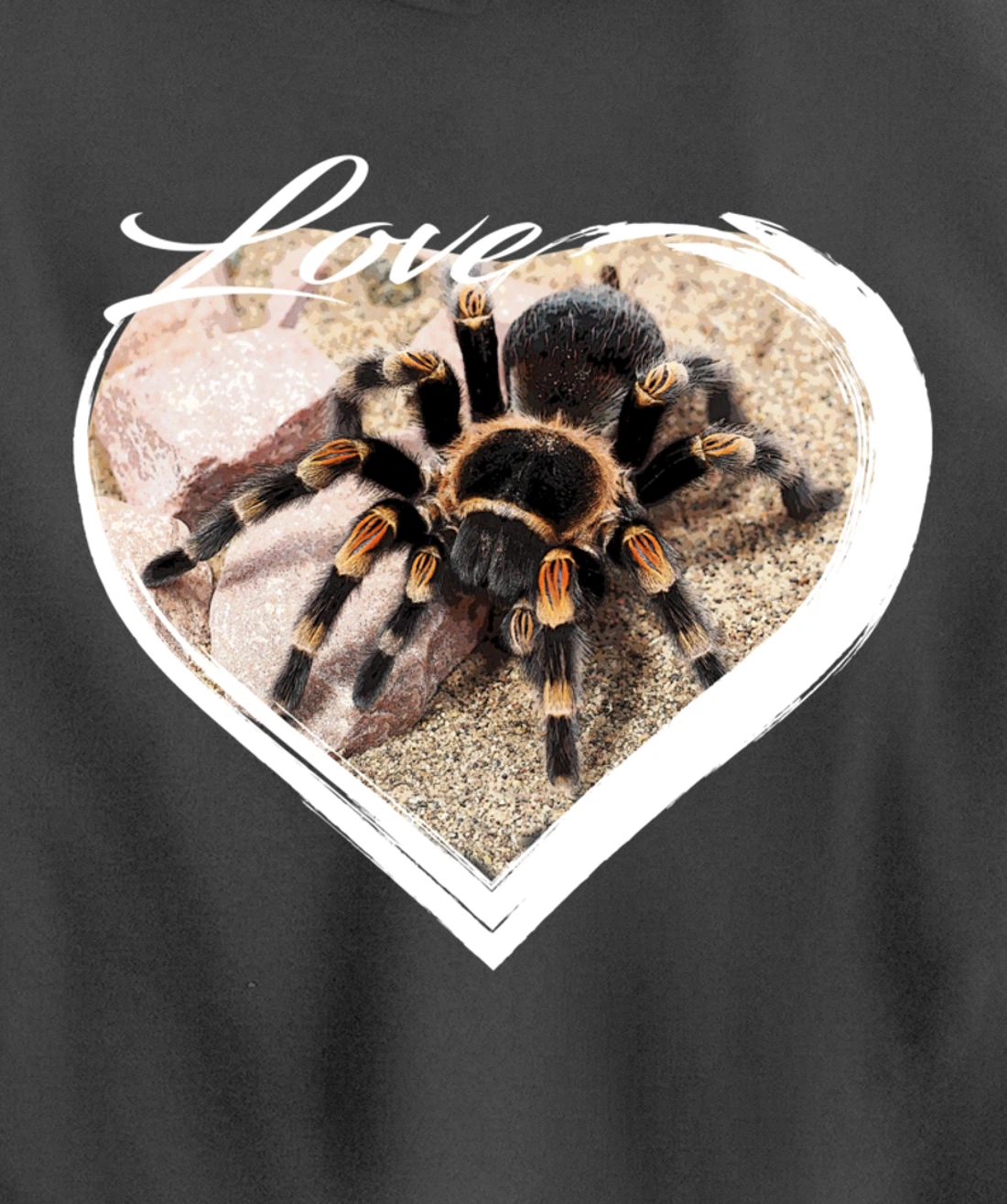 Love Tarantula Lover Hairy Spiders Pullover Hoodie