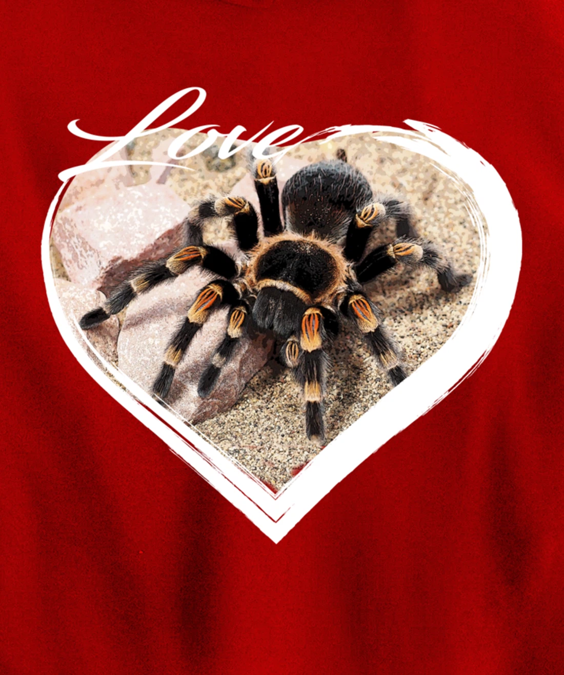 Love Tarantula Lover Hairy Spiders Pullover Hoodie