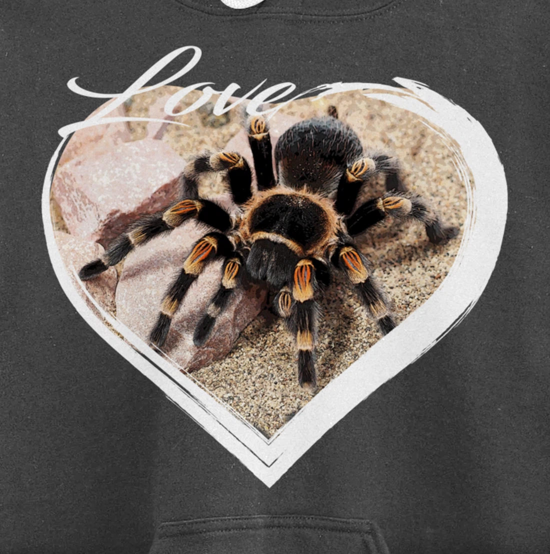 Love Tarantula Lover Hairy Spiders Pullover Hoodie