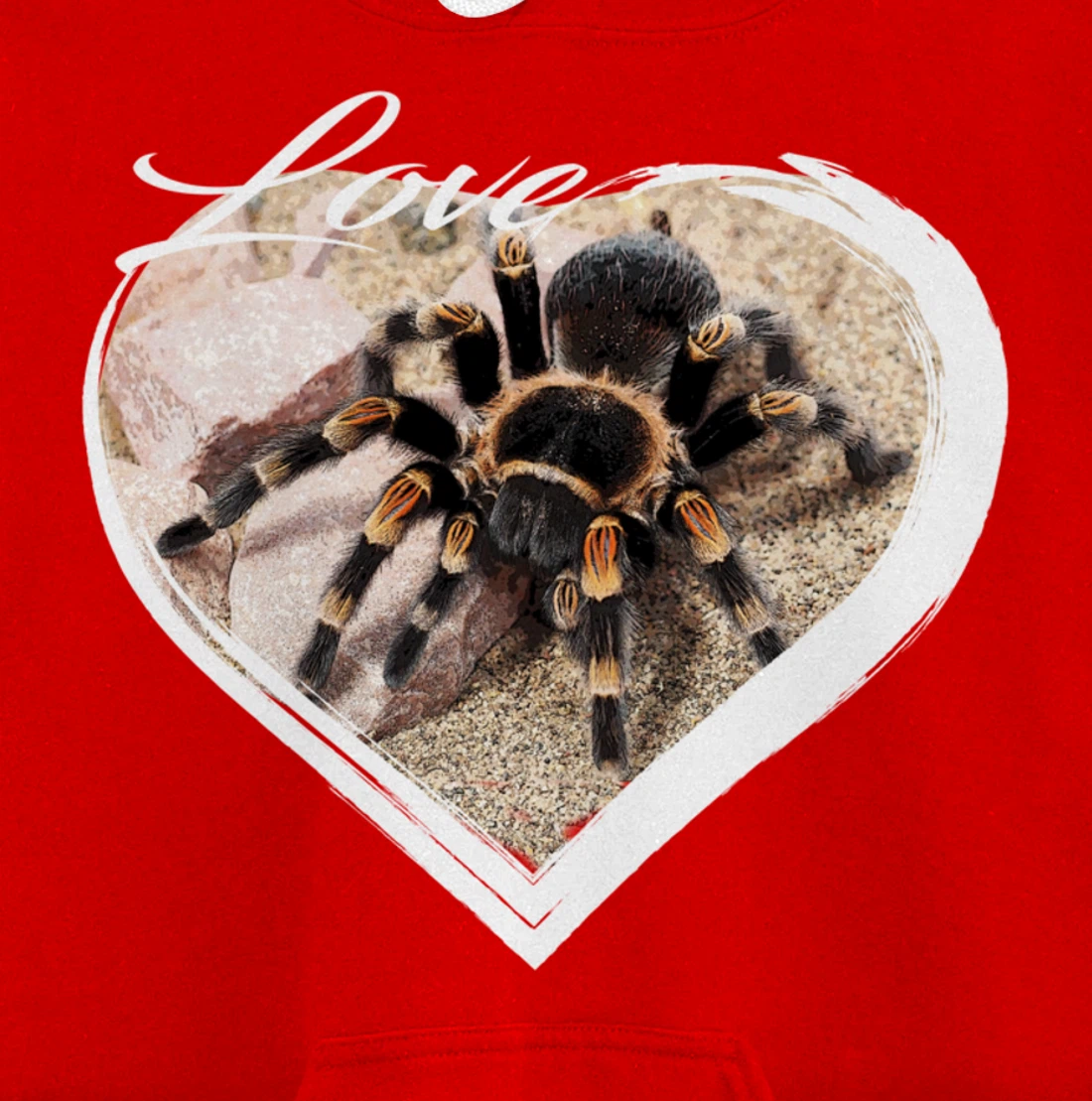 Love Tarantula Lover Hairy Spiders Pullover Hoodie
