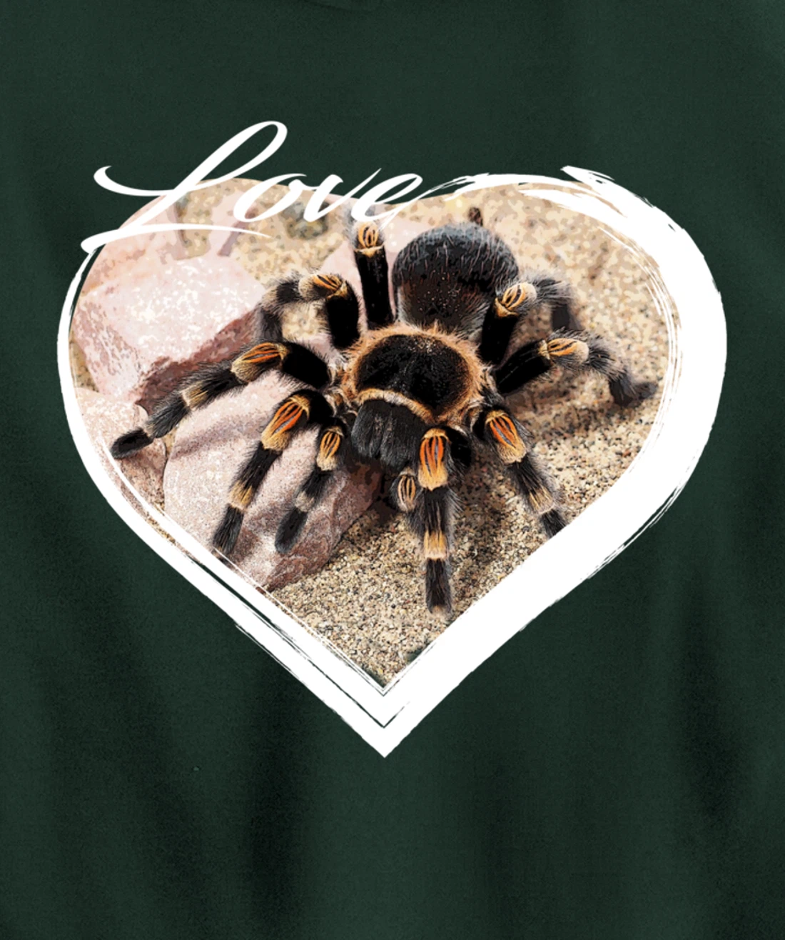 Love Tarantula Lover Hairy Spiders Pullover Hoodie