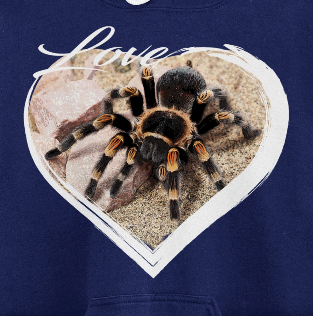 Love Tarantula Lover Hairy Spiders Pullover Hoodie