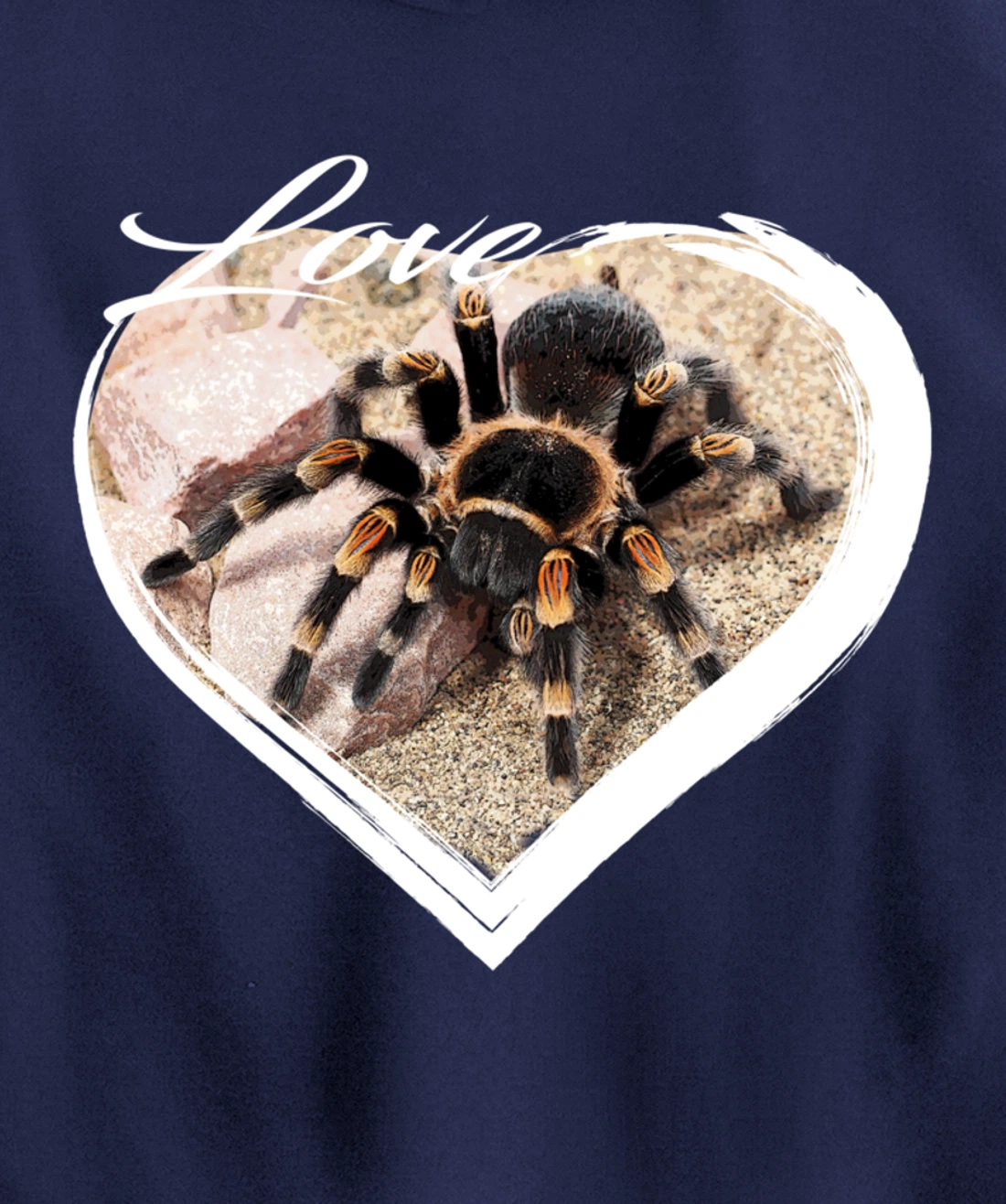 Love Tarantula Lover Hairy Spiders Pullover Hoodie