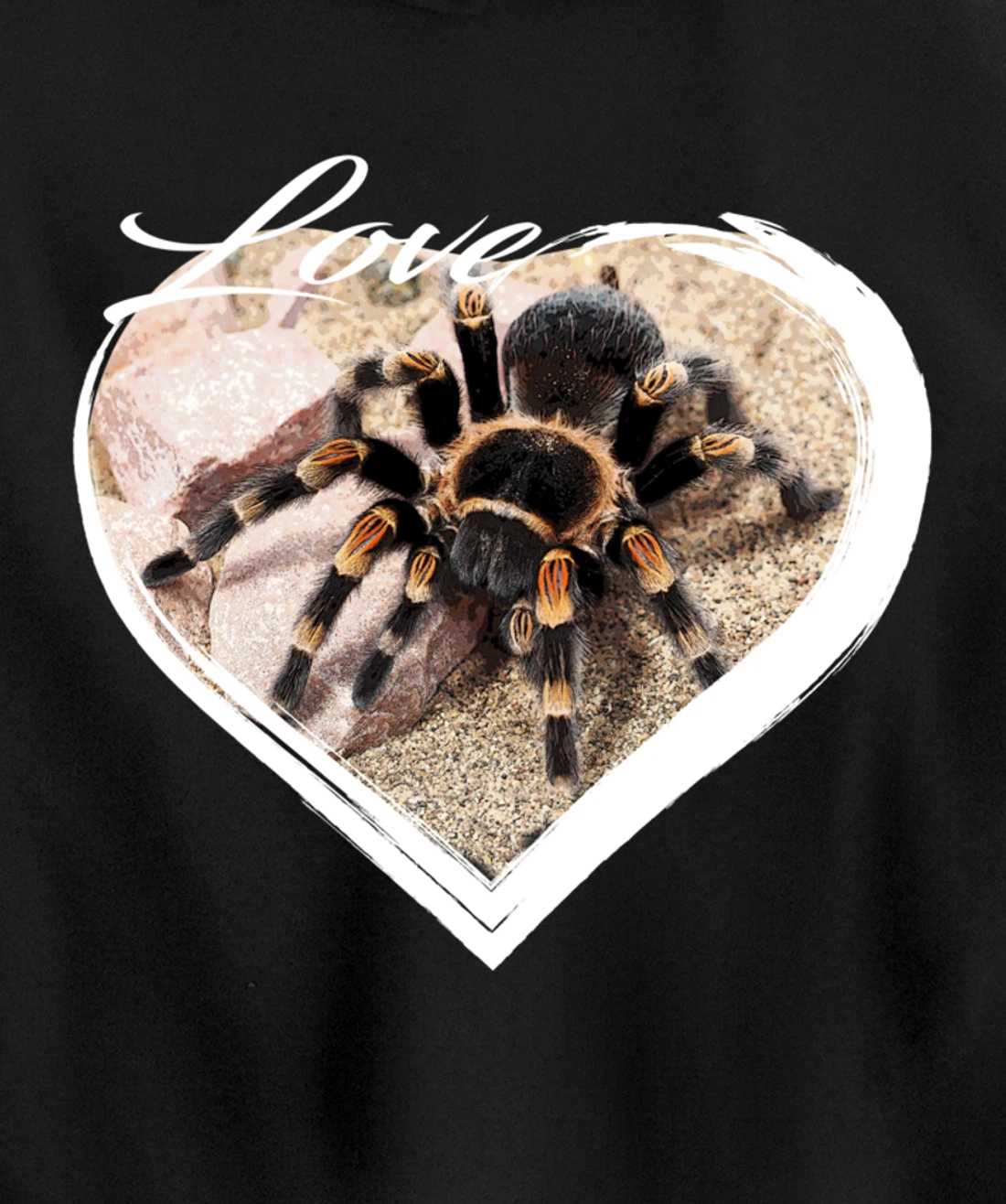 Love Tarantula Lover Hairy Spiders Pullover Hoodie