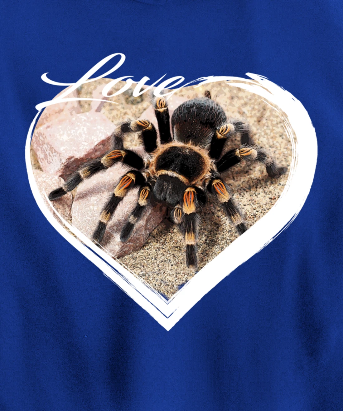 Love Tarantula Lover Hairy Spiders Pullover Hoodie