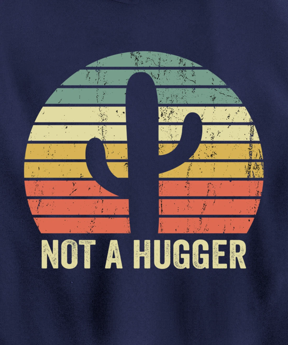 Funny Not A Hugger Cactus Introvert Sarcastic Gift Pullover Hoodie