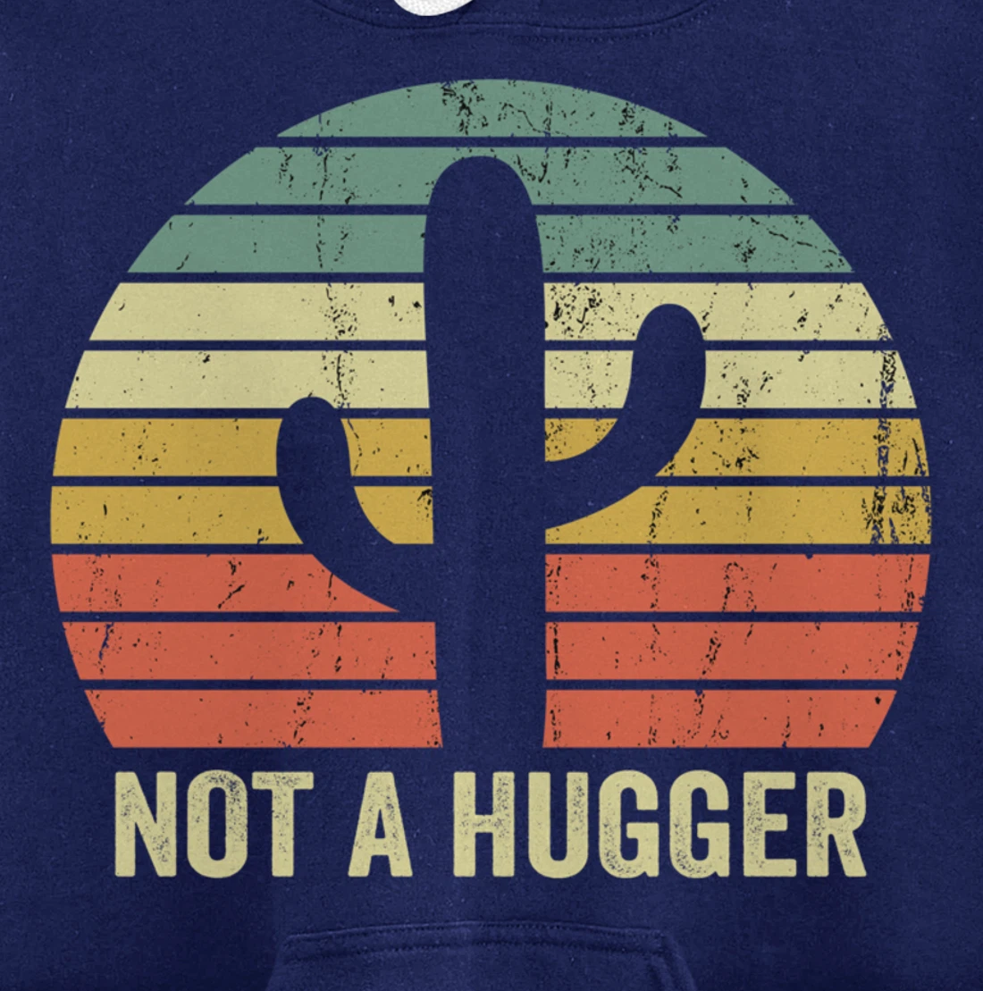 Funny Not A Hugger Cactus Introvert Sarcastic Gift Pullover Hoodie
