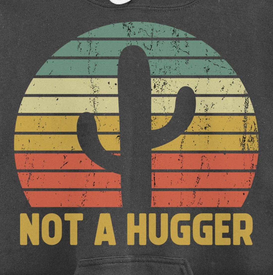 Not A Hugger Cactus Funny Introvert Vintage Gift Pullover Hoodie