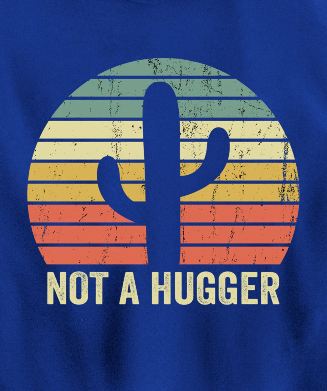 Funny Not A Hugger Cactus Introvert Sarcastic Gift Pullover Hoodie