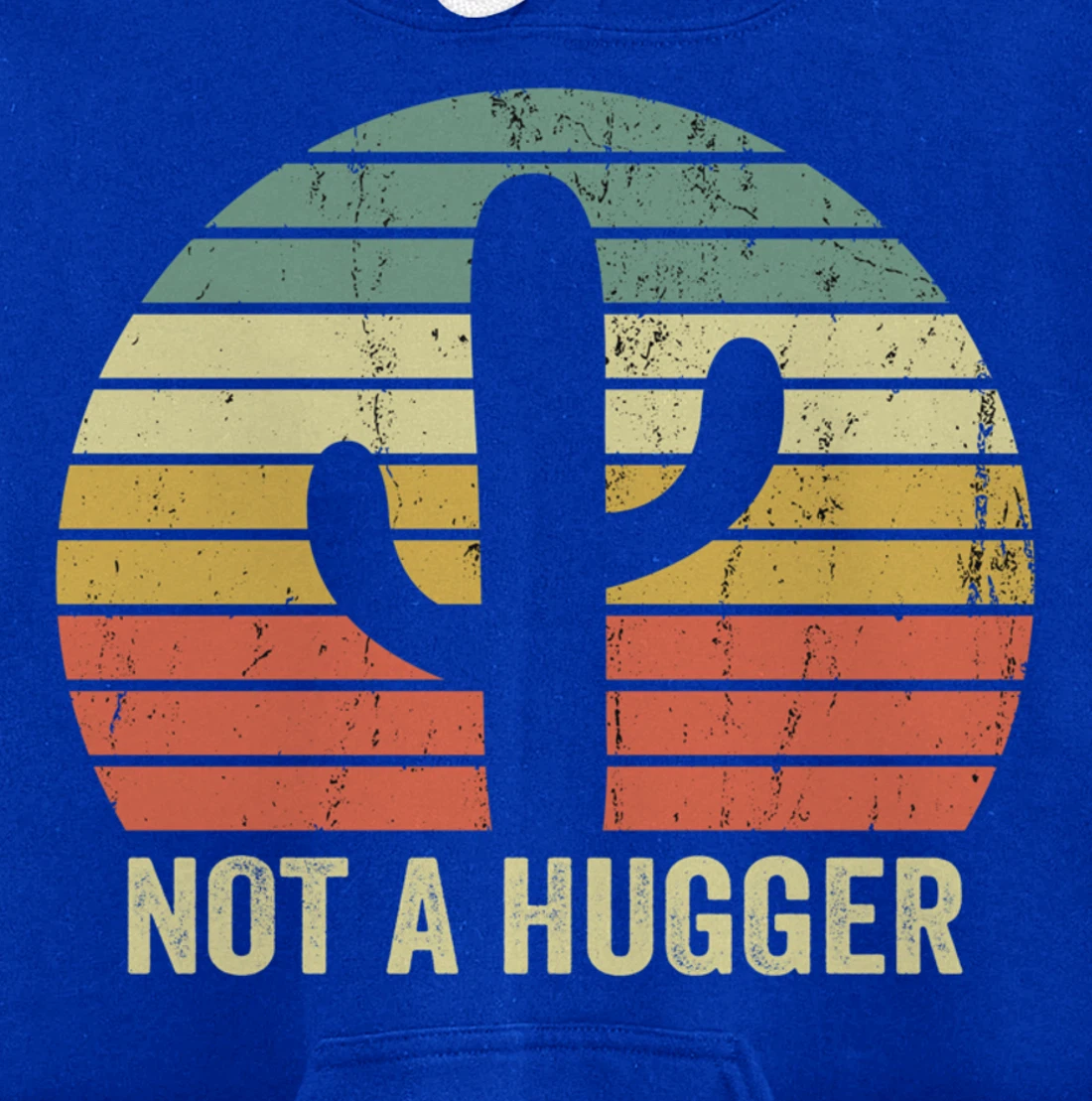 Funny Not A Hugger Cactus Introvert Sarcastic Gift Pullover Hoodie