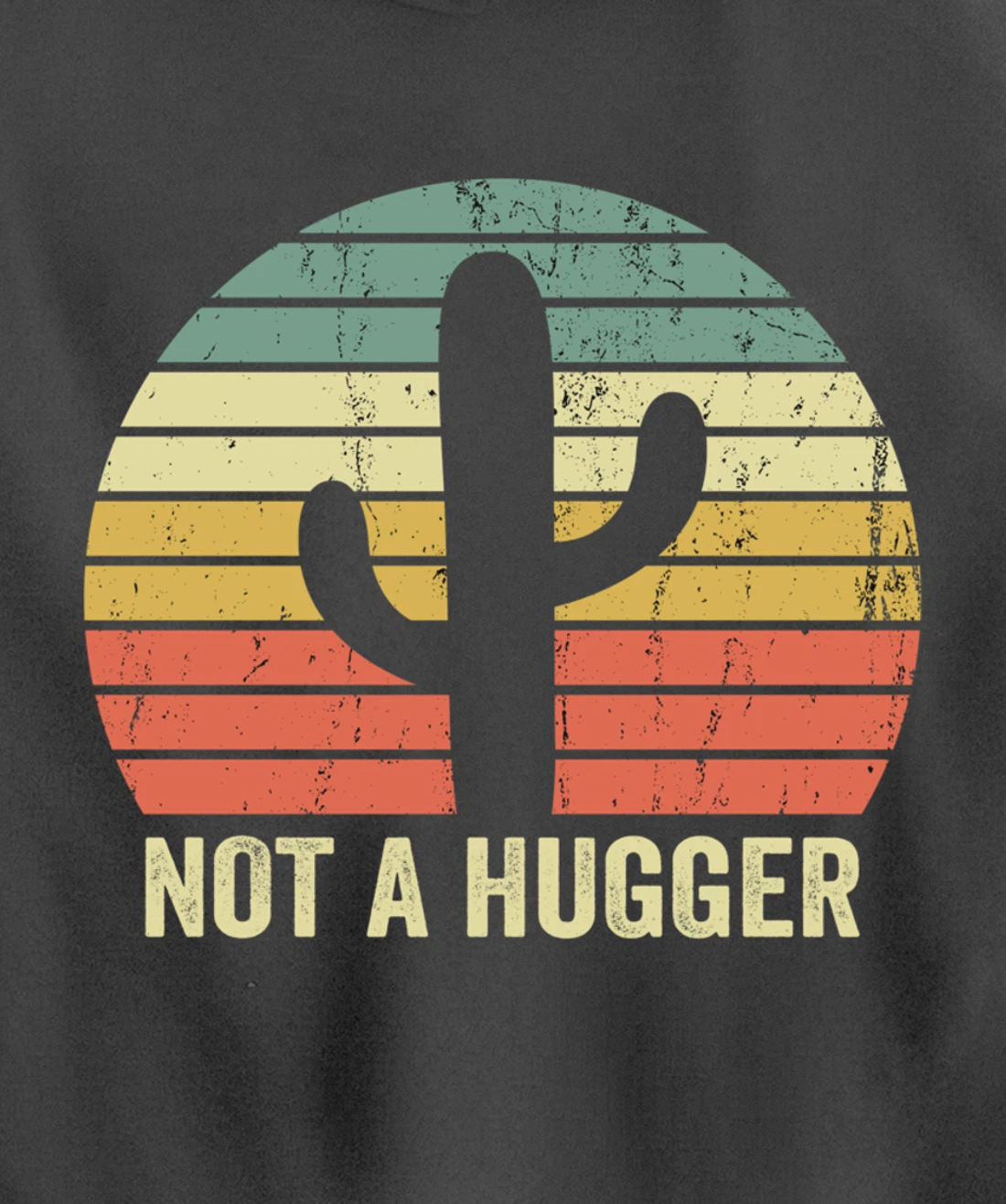 Funny Not A Hugger Cactus Introvert Sarcastic Gift Pullover Hoodie