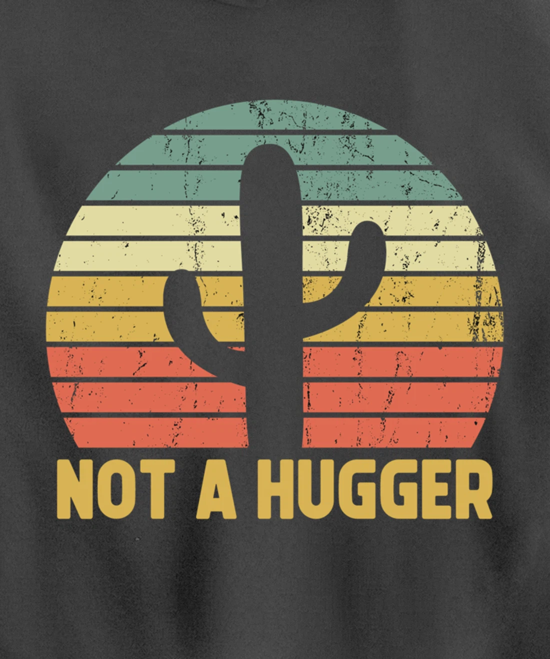 Not A Hugger Cactus Funny Introvert Vintage Gift Pullover Hoodie