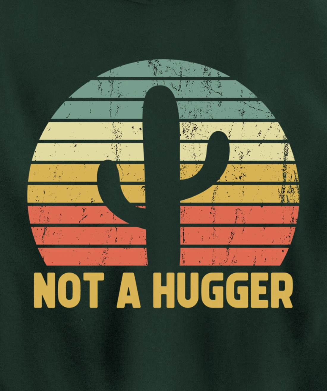 Not A Hugger Cactus Funny Introvert Vintage Gift Pullover Hoodie