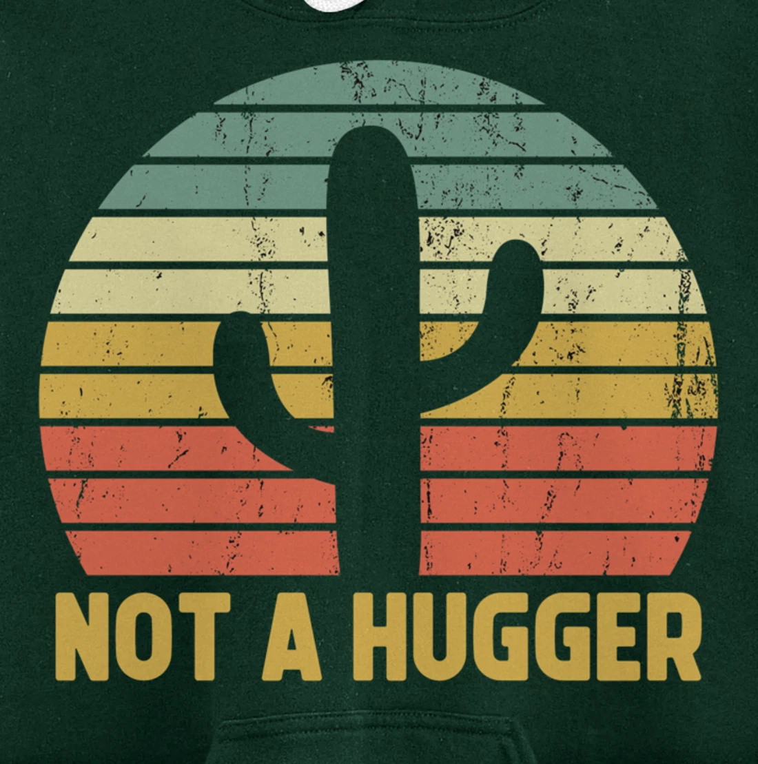 Not A Hugger Cactus Funny Introvert Vintage Gift Pullover Hoodie