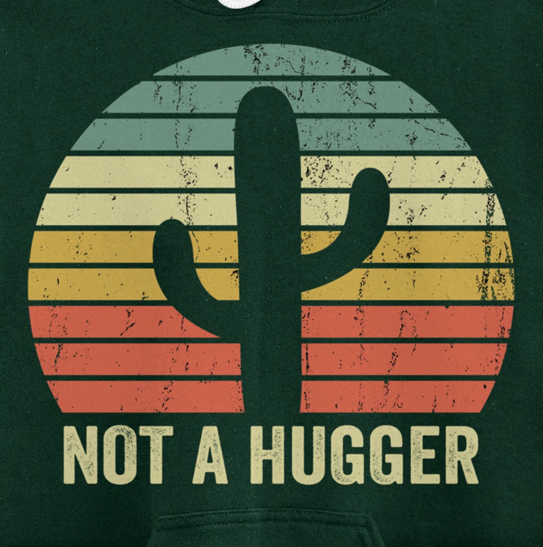 Funny Not A Hugger Cactus Introvert Sarcastic Gift Pullover Hoodie