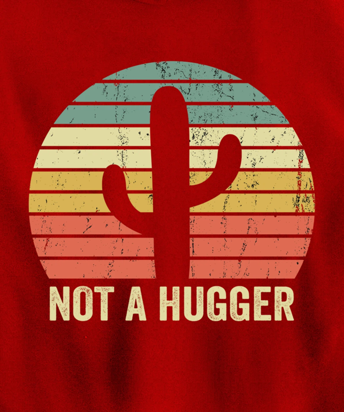 Funny Not A Hugger Cactus Introvert Sarcastic Gift Pullover Hoodie
