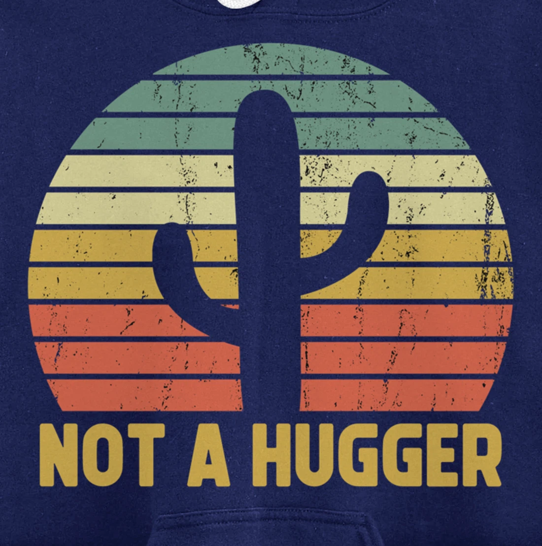 Not A Hugger Cactus Funny Introvert Vintage Gift Pullover Hoodie